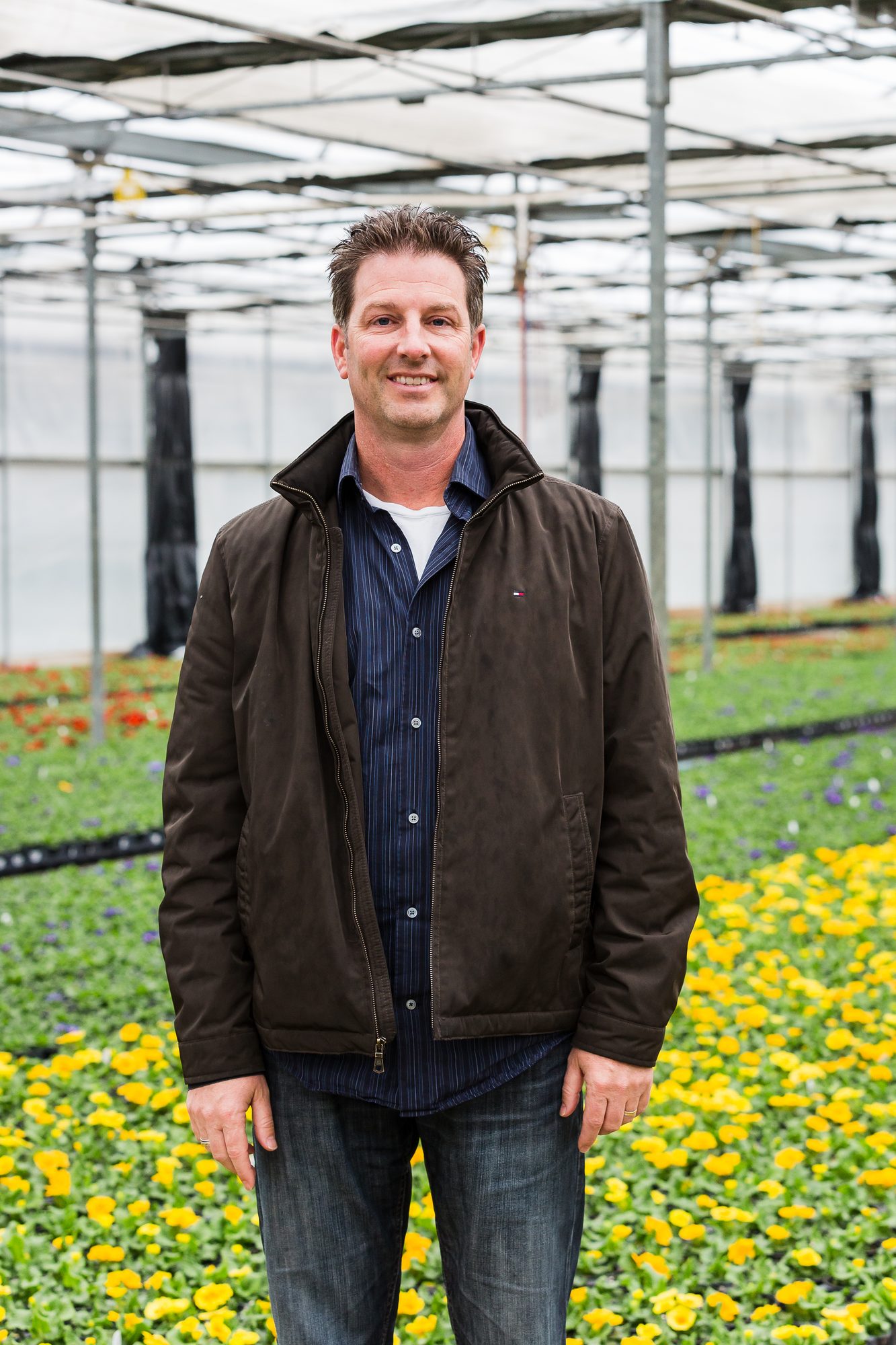 Man in a brown jacket standing among yellow flowers in a greenhouse
